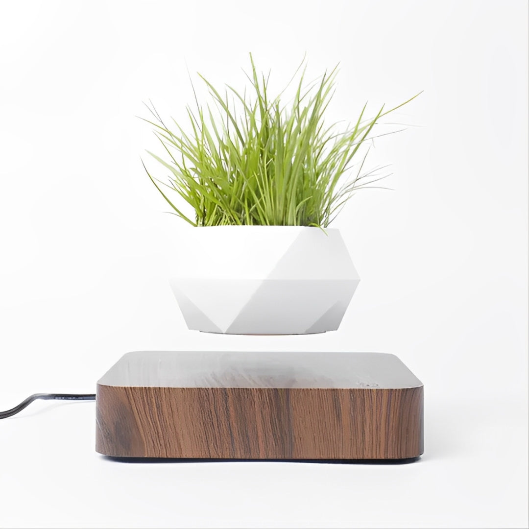 Sky Pot