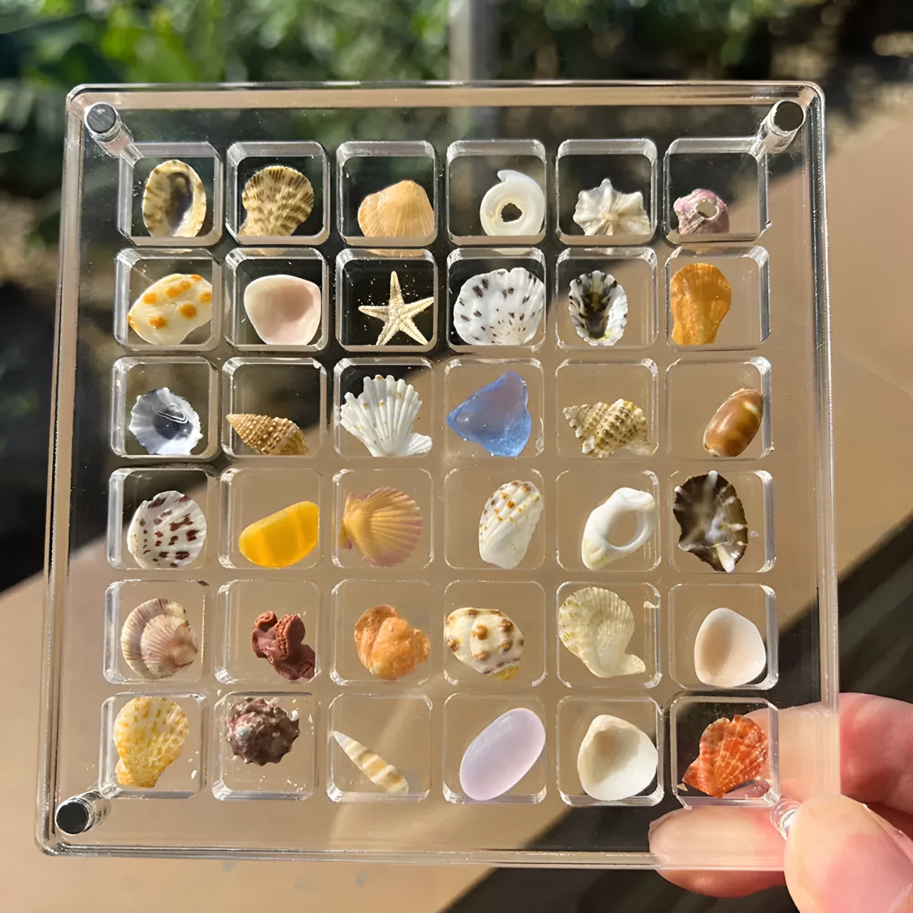 Marine Mosaic