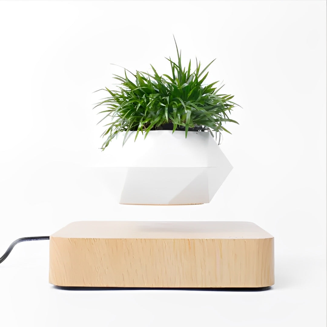Sky Pot