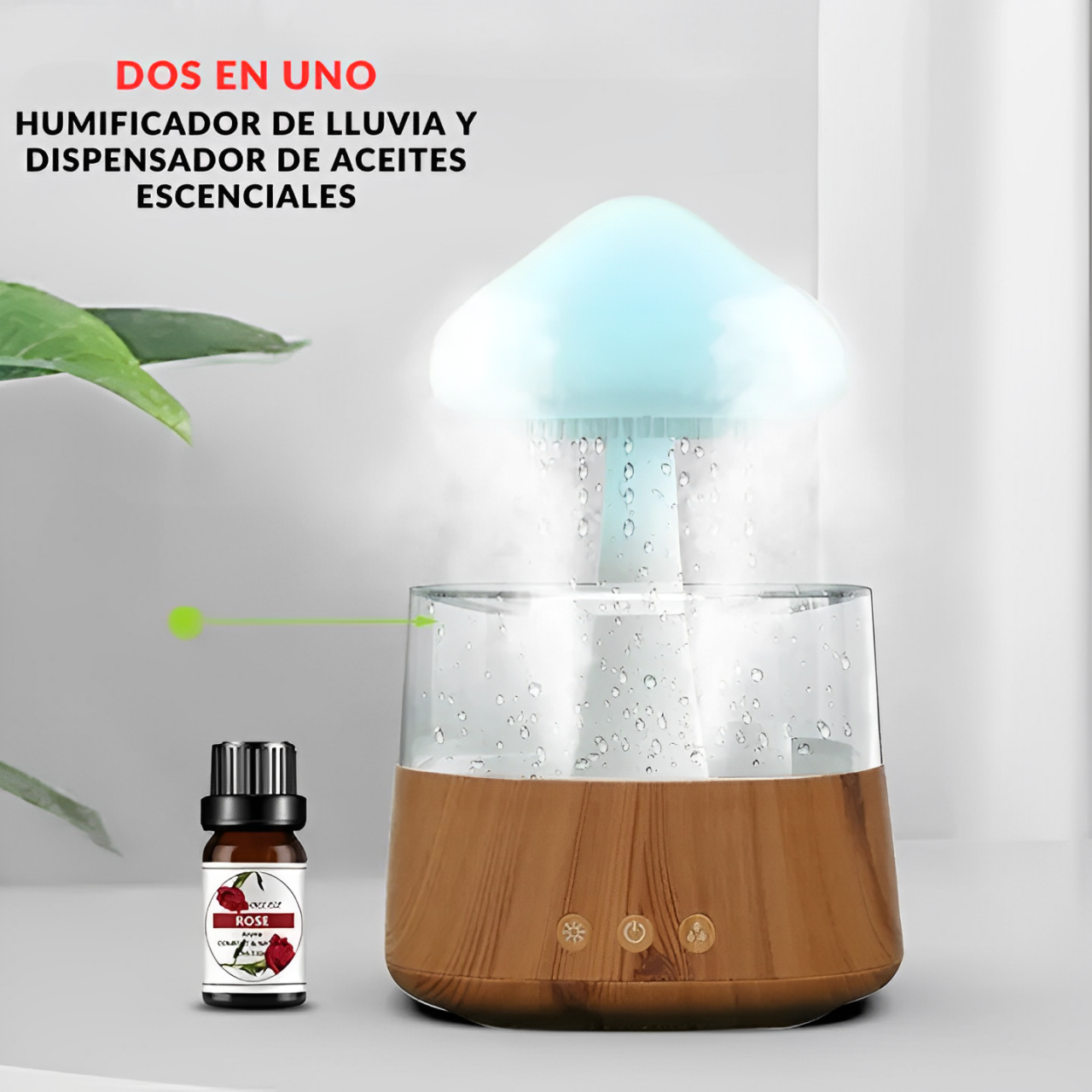 Fungi Rain