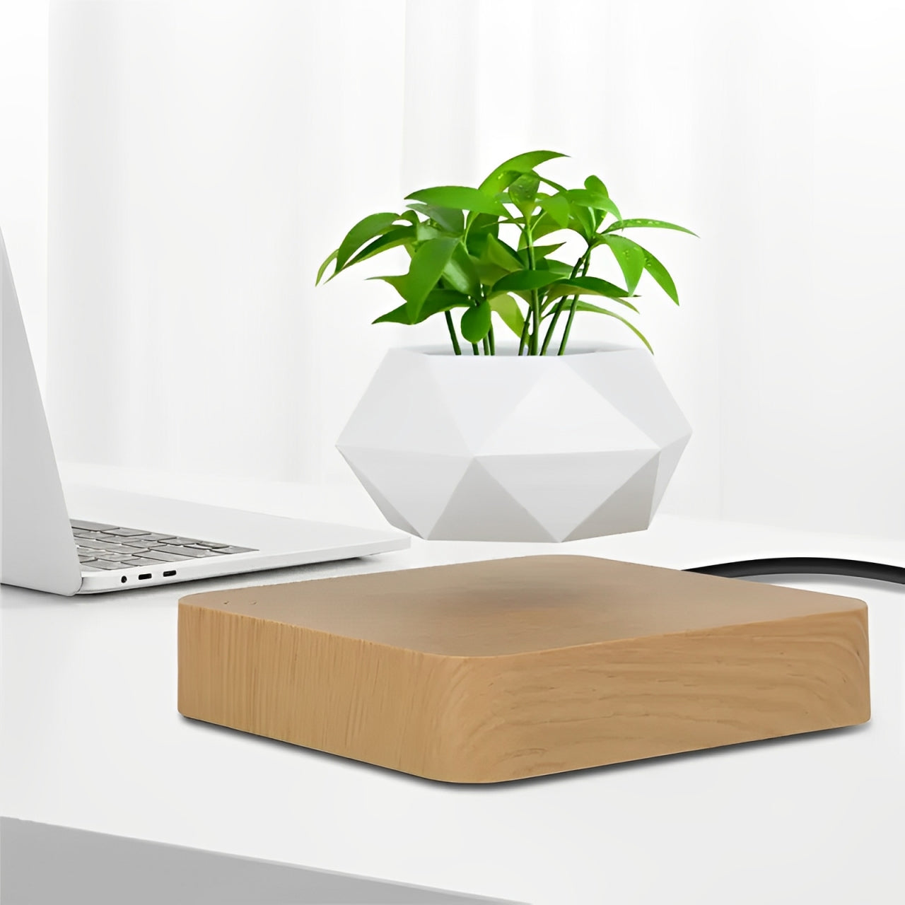 Sky Pot