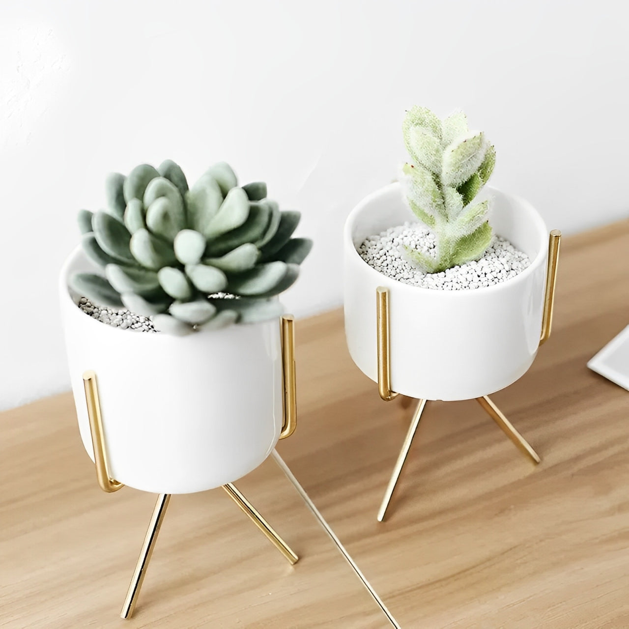 Minimal Pot