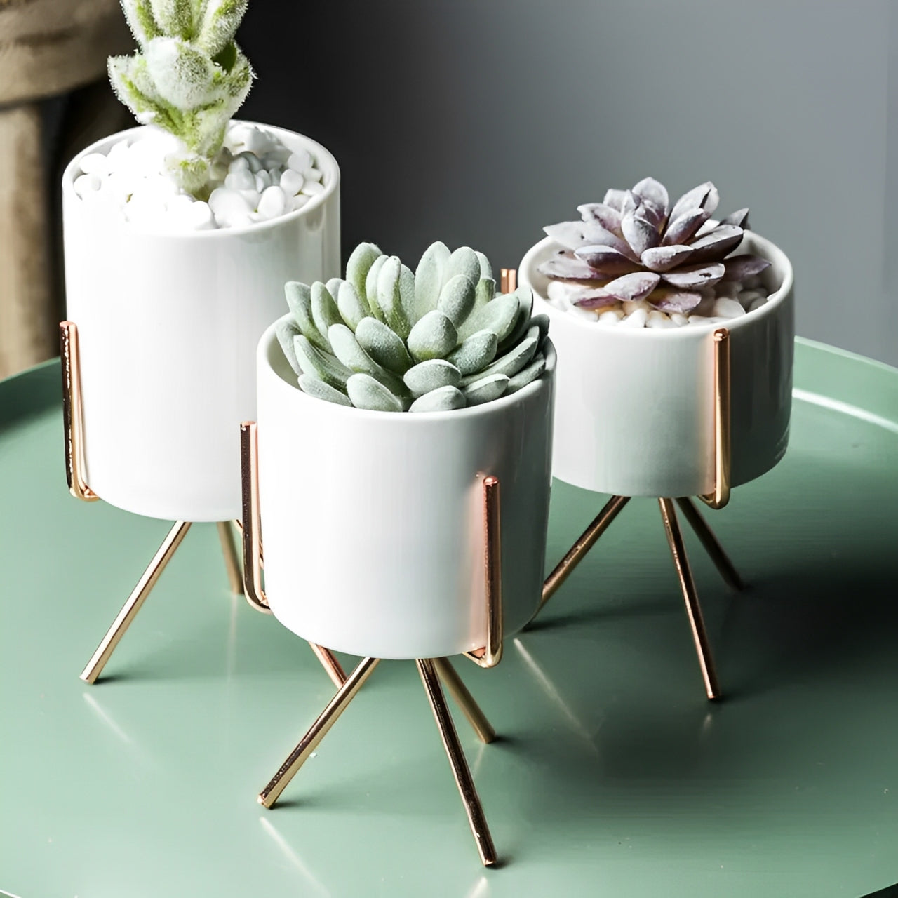 Minimal Pot