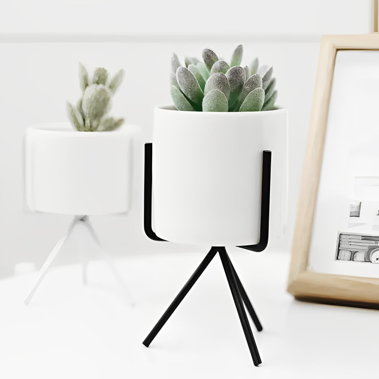 Minimal Pot
