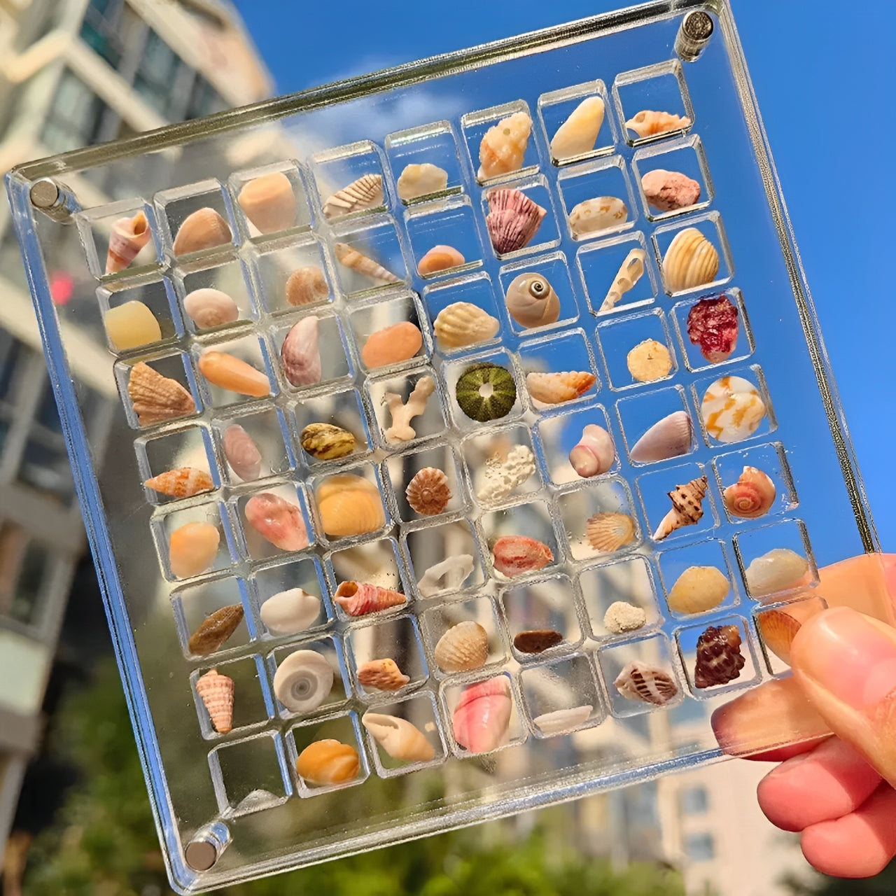 Marine Mosaic
