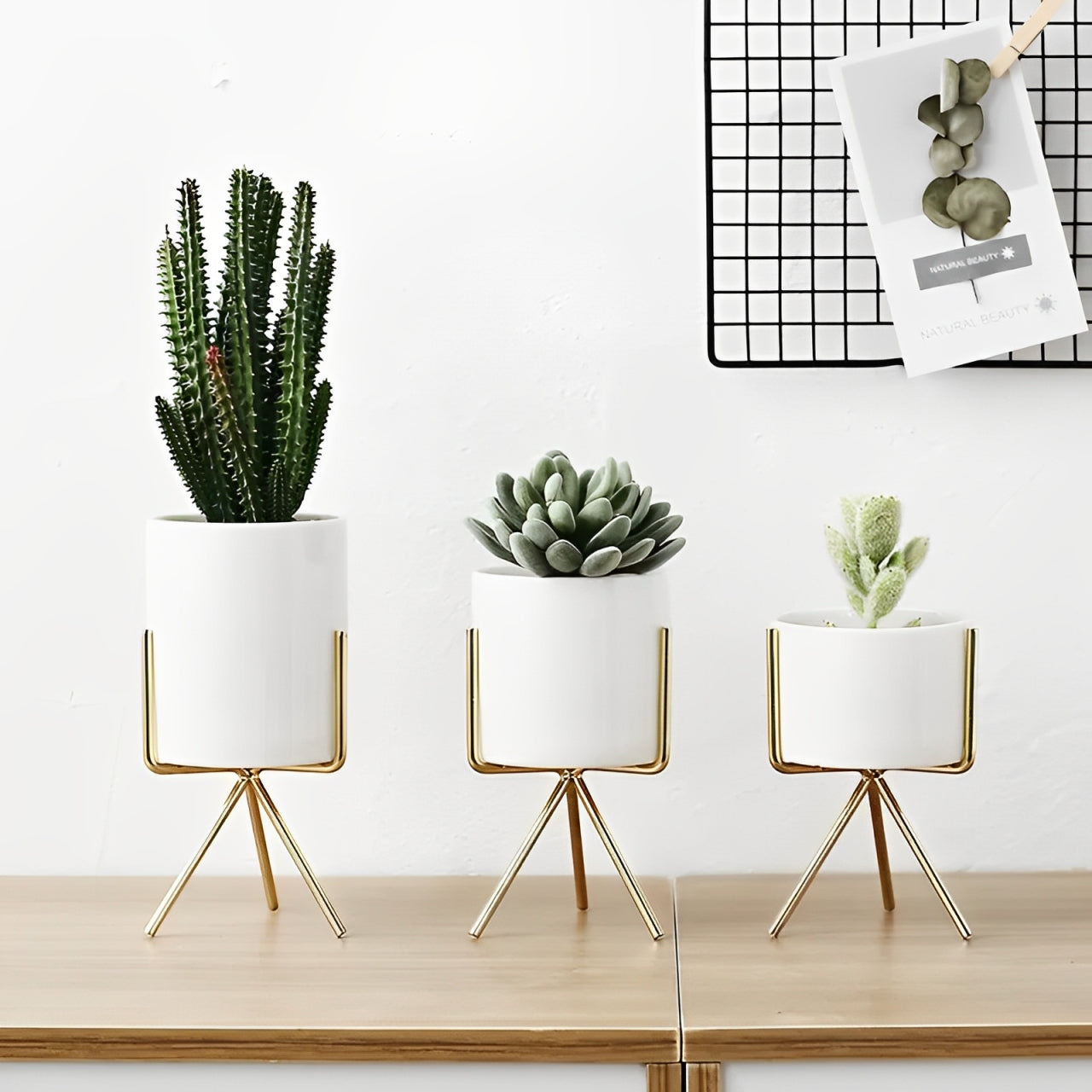 Minimal Pot