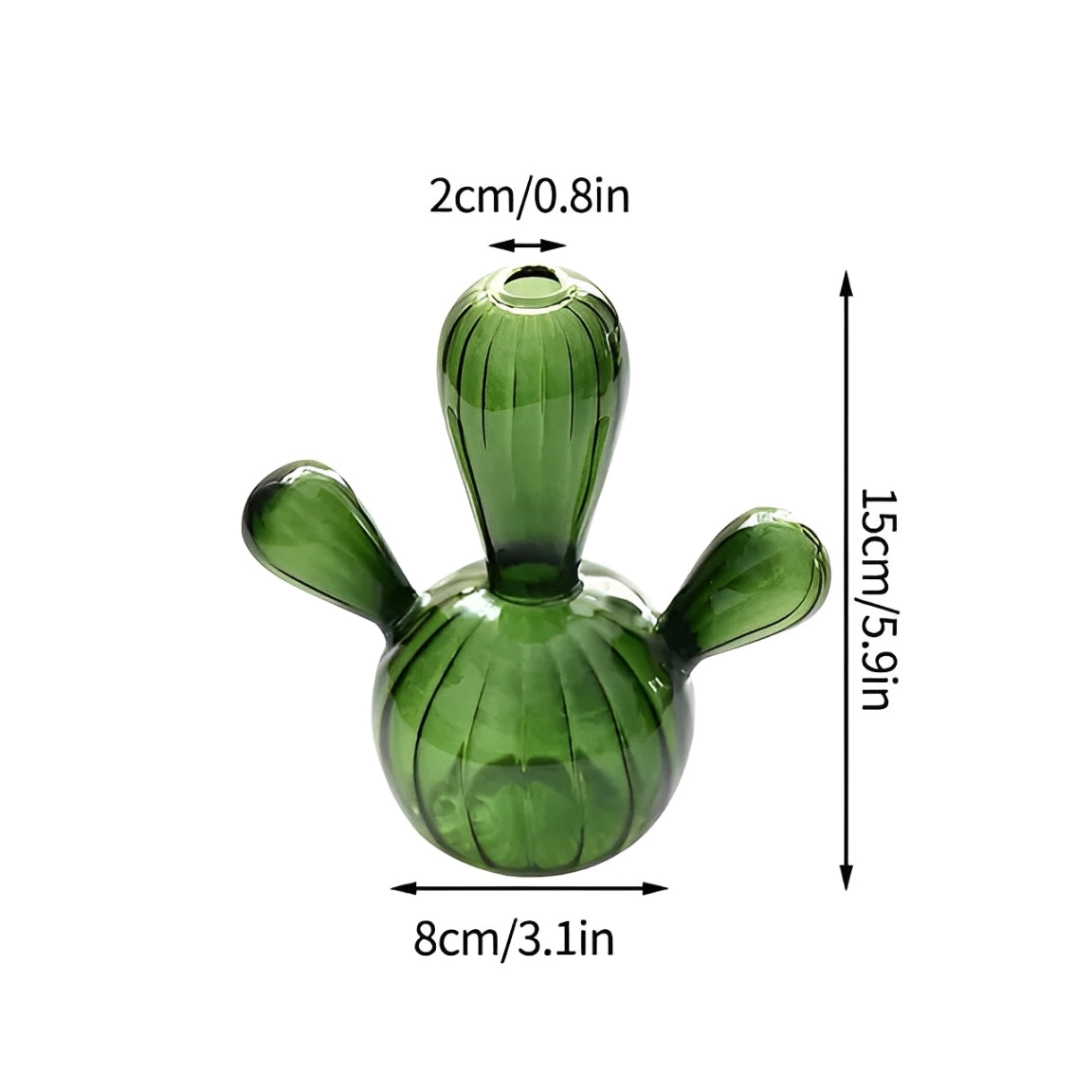 Cacti Vase