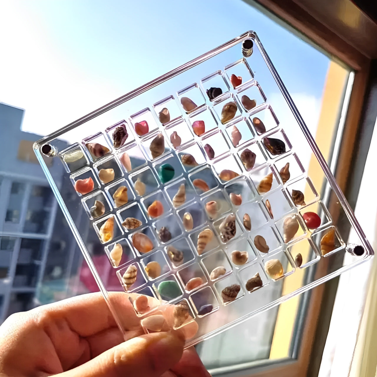 Marine Mosaic