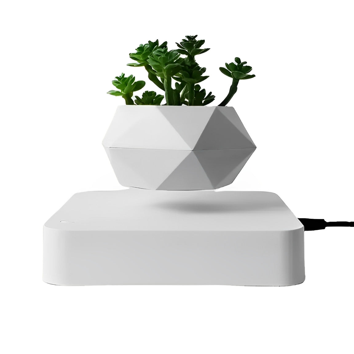 Sky Pot