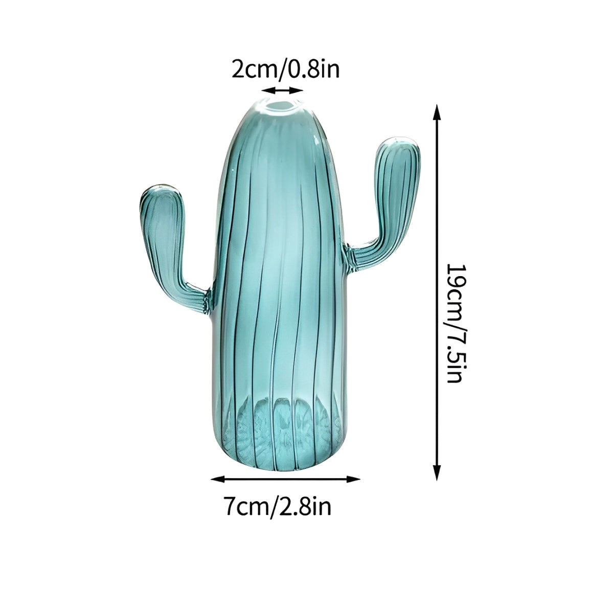 Cacti Vase
