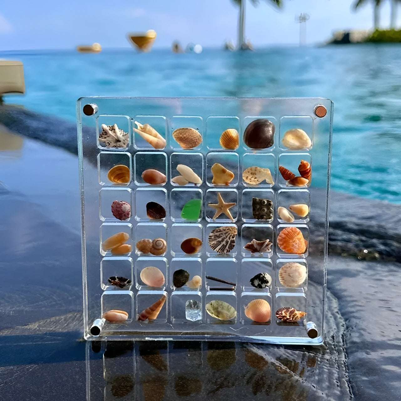 Marine Mosaic